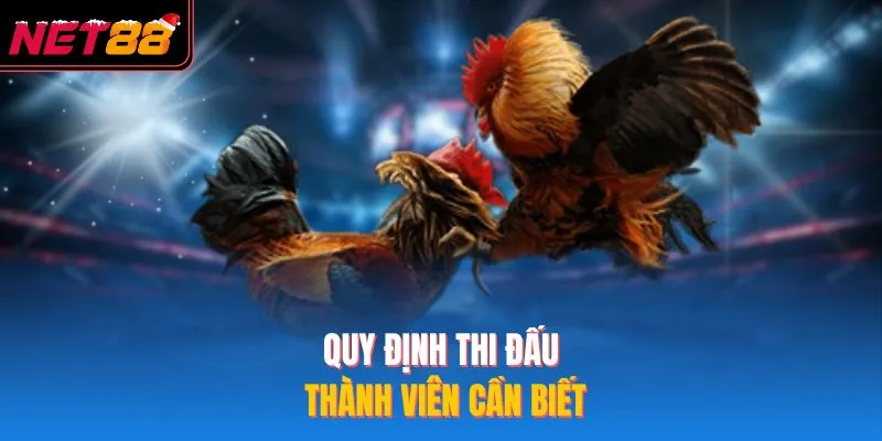 Đá Gà Campuchia – Kinh Nghiệm Thắng NET88 Hiệu Quả Nhất 2026 Quy định thi đấu thành viên cần biết