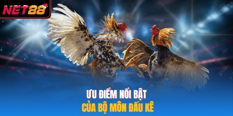 Đá Gà Campuchia – Kinh Nghiệm Thắng NET88 Hiệu Quả Nhất 2026 Ưu điểm nổi bật của bộ môn đấu kê